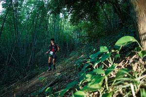 BIB: 
                            <button type="button" onclick="openModal(28124705)" class="btn btn-primary btn-sm float-right btn-popup" data-toggle="modal" data-target=".modal-high-quality">
                        <i class="fas fa-shopping-cart"></i> Add to Cart
                    </button>
                                            <button type="button" onclick="isThisMe(28124705, true)" class="btn btn-success btn-sm float-right btn-popup btn-isme hidden" data-toggle="tooltip" data-placement="bottom" title="นี่คือรูปของคุณใช่ไหม คลิกที่นี่เพื่อเอาเข้าอัลบั้ม">
                        <i class="fas fa-plus"></i> Add to album
                    </button>
                    <button type="button" onclick="isThisMe(28124705, false)" class="btn btn-warning btn-sm float-right btn-popup btn-isnotme hidden">
                        <i class="fas fa-ban"></i> Remove from album
                    </button>